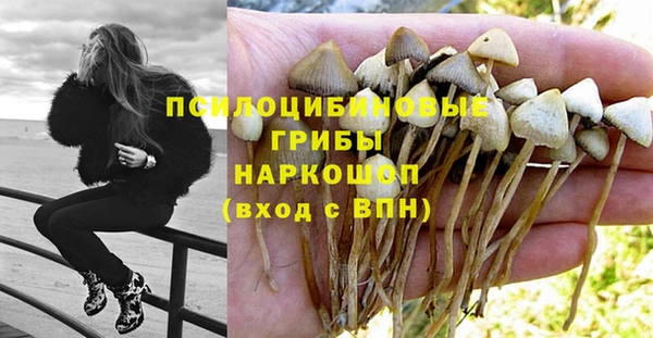 2c-b Михайлов