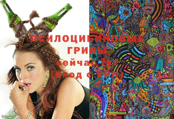 2c-b Михайлов