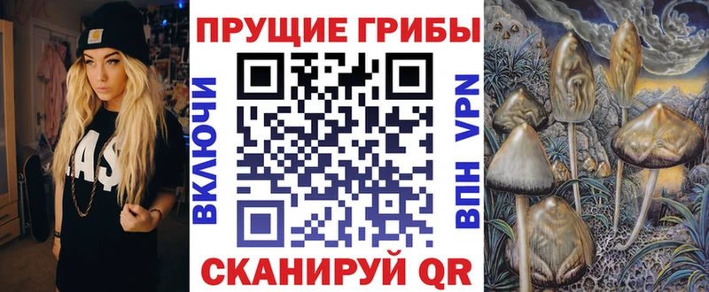 даркнет сайт  Троицк  Галлюциногенные грибы мицелий 