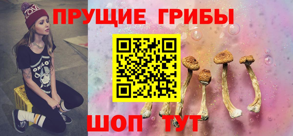 купить  цена  Вход с VPN  Троицк  Галлюциногенные грибы прущие грибы 